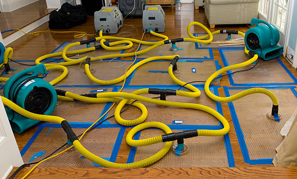 Professional Basement Flood Cleanup technician working in Center Barnstead, NH